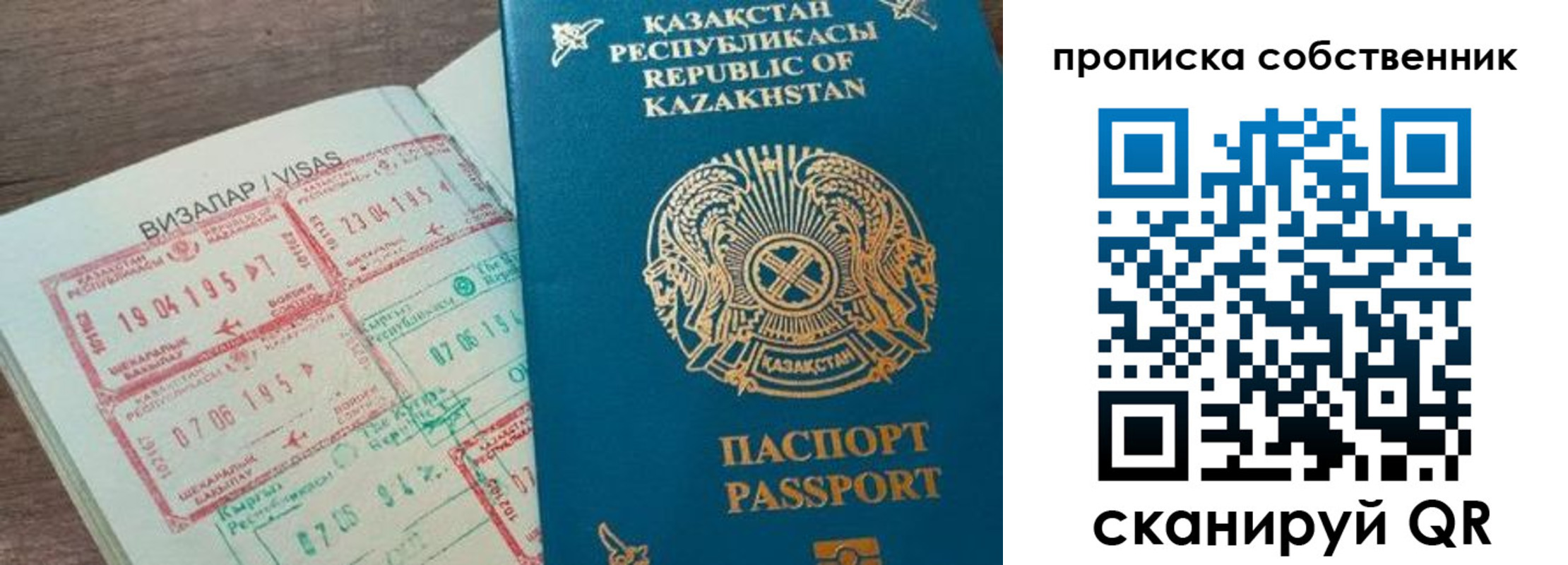 прописка гарантия в Мончегорске